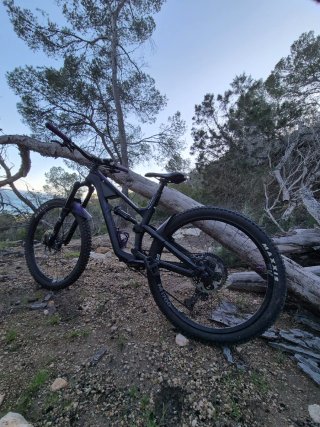 Bicicleta Canyon Doble Suspensión