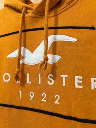 Sudadera Hollister Naranja