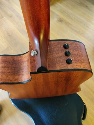 Taylor 310ce Guitarra Acústica