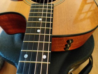 Taylor 310ce Guitarra Acústica