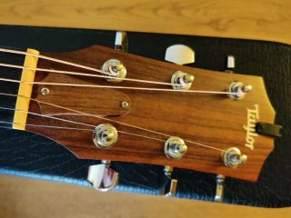Taylor 310ce Guitarra Acústica