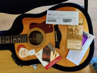 Taylor 310ce Guitarra Acústica