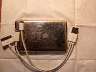 Apple iPod Plata/Blanco