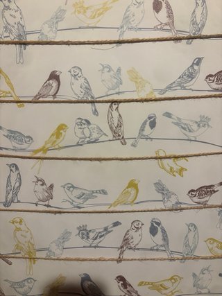 Cuadro pájaros descatalogado