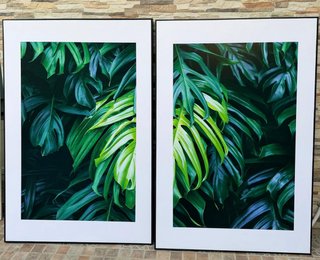 Cuadros grandes plantas 80x120 cm