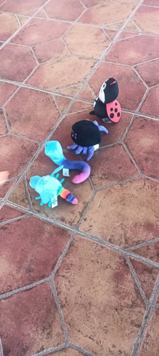 Set di 4 peluches di insetti da giardino