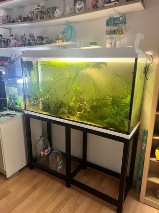 Acuario 300L Cristal y Metal