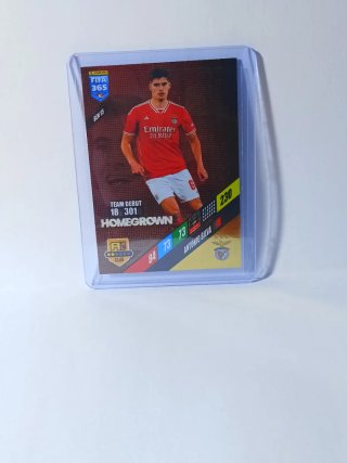 Cromo Panini FIFA 365 2024 homegrown