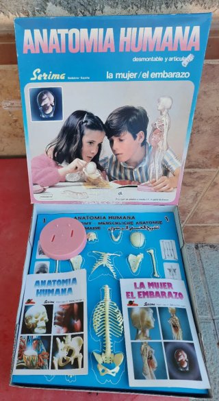 Anatomía Humana Serima Set Mujer y embarazo
