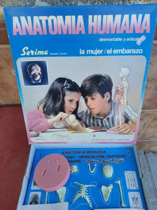 Anatomía Humana Serima Set Mujer y embarazo
