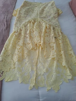 Vestido amarillo bordado