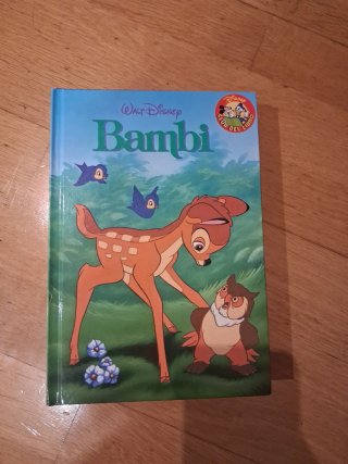 Varios libros de Disney