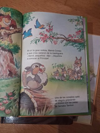 Varios libros de Disney