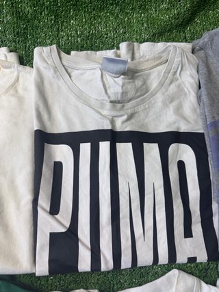 Lote de 6 camisetas de marca: levis puma champion
