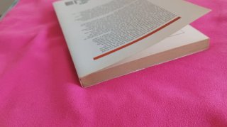 Los Válidos en la monarquía española del siglo XXI