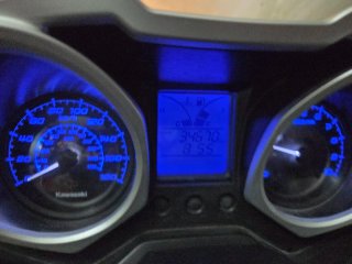 Kawasaki J300