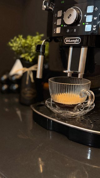 Cafetera DeLonghi Magnifica S