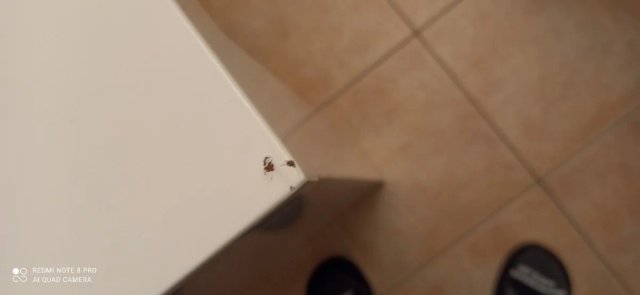 Tavolo allungabile laccato bianco