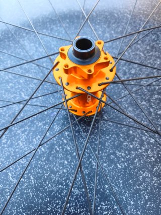 Rueda Delantera Hope Fortus 30 PRO 5 29" 6T