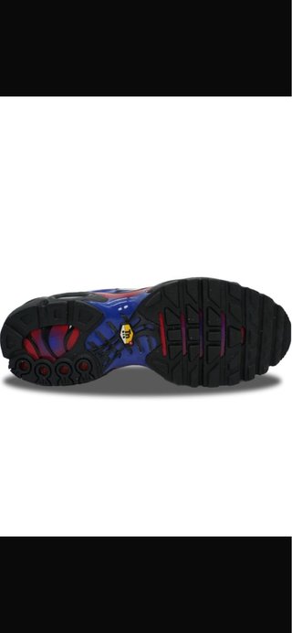 Zapatillas Nike Air Max Plus TN