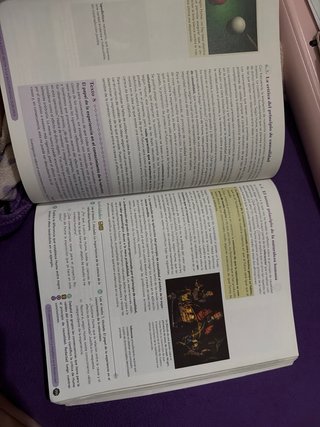 Historia de la Filosofía, 2 Bachillerato, Genio...