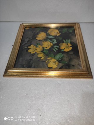 Cornice vintage con fiori gialli