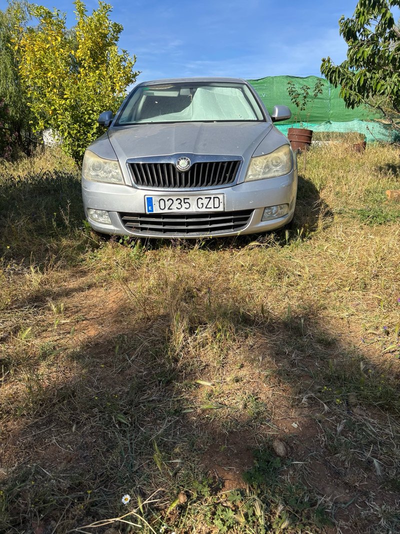 Skoda Octavia - foto 1