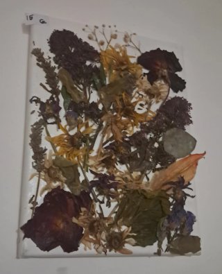 Cuadros ,lienzos