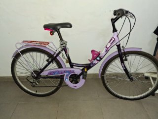 Bicicleta Morada