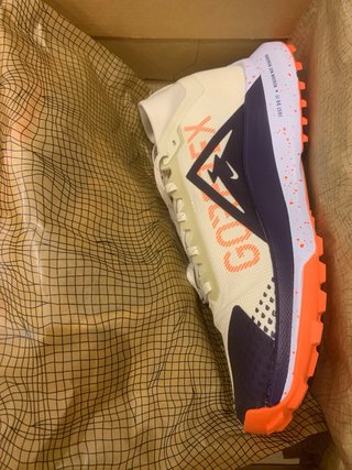 Zapatillas Nike Pegasus Trail 4 GTX Talla 42