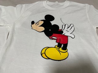 Camisetas Disney Mickey y Minnie
