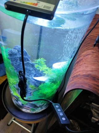 30+15cm.LED, 5 Colores y temporizador,A ESTRENAR