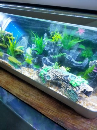 30+15cm.LED, 5 Colores y temporizador,A ESTRENAR