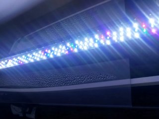 30+15cm.LED, 5 Colores y temporizador,A ESTRENAR
