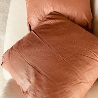 2 Cojines Marrones Satinados