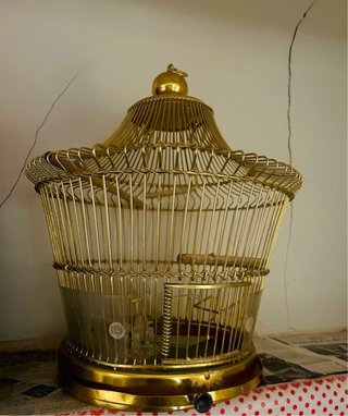 Jaula Vintage Dorada para Canarios