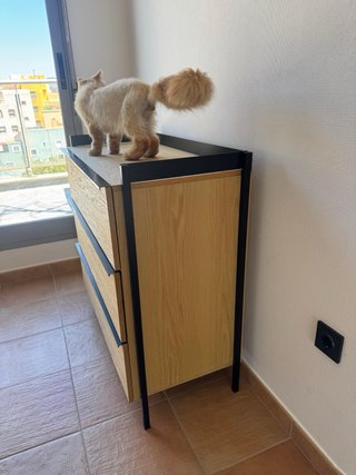Cómoda de madera y metal