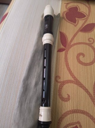 Flauta Escolar Yamaha