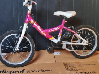 Bicicleta Infantil Joy 16 Rosa