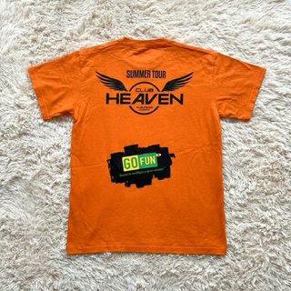 Camiseta Fruit of the Loom Double Dutch M Vintage