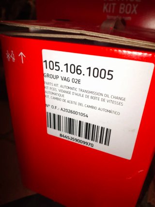 Kit Mantenimiento TCMATIC DSG DQ250 (02E) 6 Vel