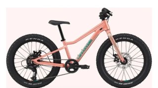 Bicicleta Infantil Cannondale Trail 20