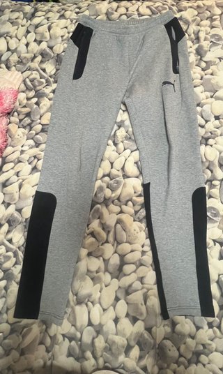 Chandal de puma