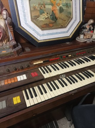 Órgano Electrónico Camelot