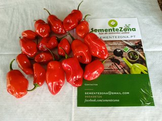 Semillas Pimientos - Conjunto 4 Paquetes Picantes