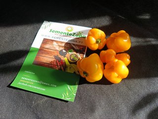Semillas Pimientos - Conjunto 4 Paquetes Picantes