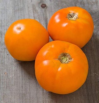 Kit 12 Variedades de Tomates Exóticos (semillas)