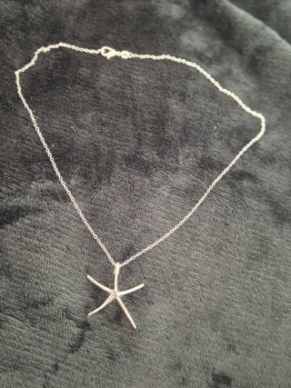 Collar Estrella Plateado