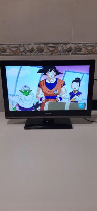 Televisor Philips 19HFL2807D/10
