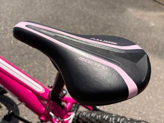 Bicicleta Monty 20” rosa